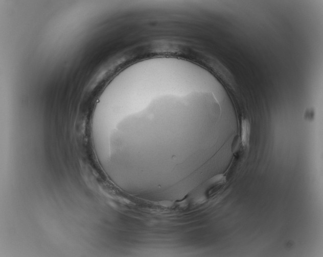 X0000110970723200907022244