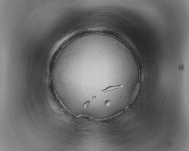 X0000110970724200907022244