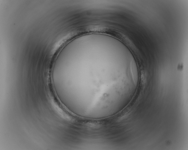 X0000110970725200907022244