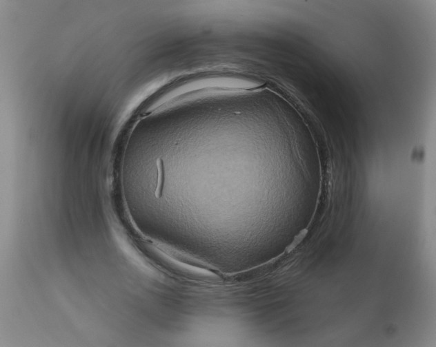 X0000110970726200907022244