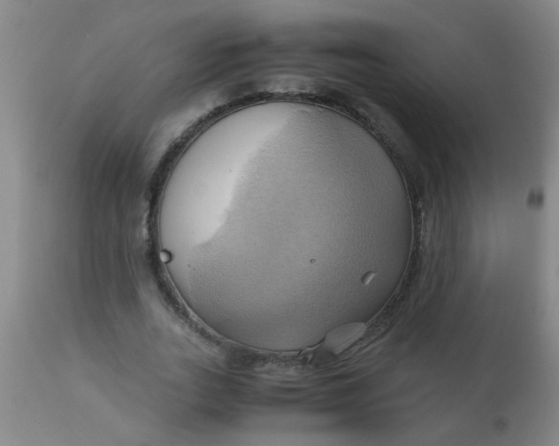 X0000110970727200907022244