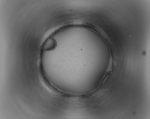 X0000110970728200907022244