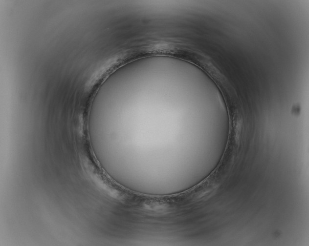 X0000110970729200907022244