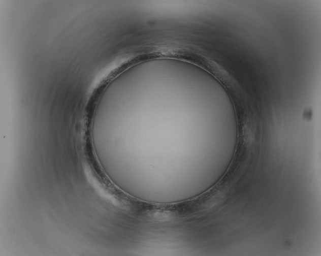 X0000110970730200907022244