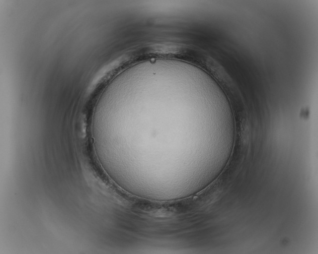 X0000110970731200907022244