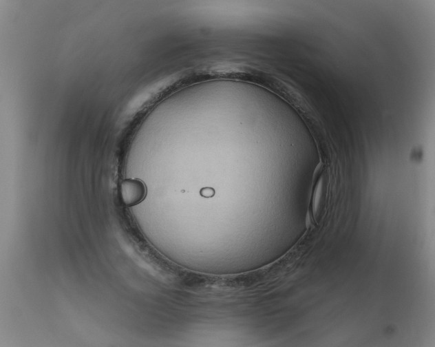 X0000110970732200907022244