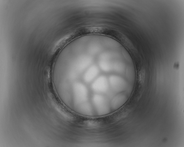 X0000110970733200907022244