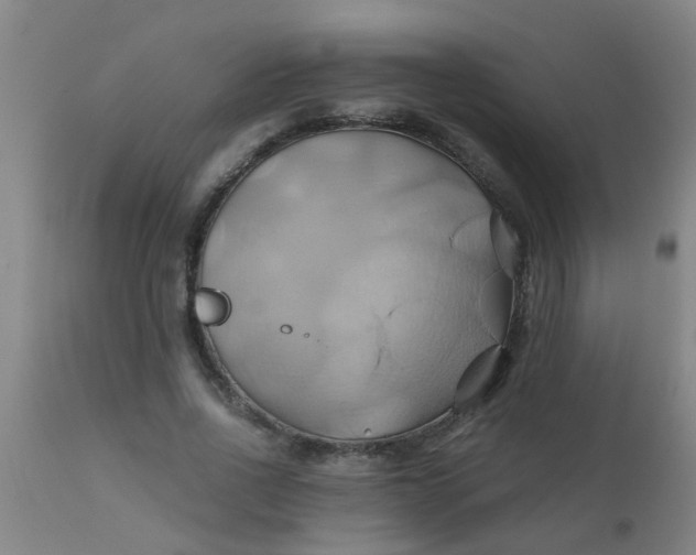 X0000110970734200907022244