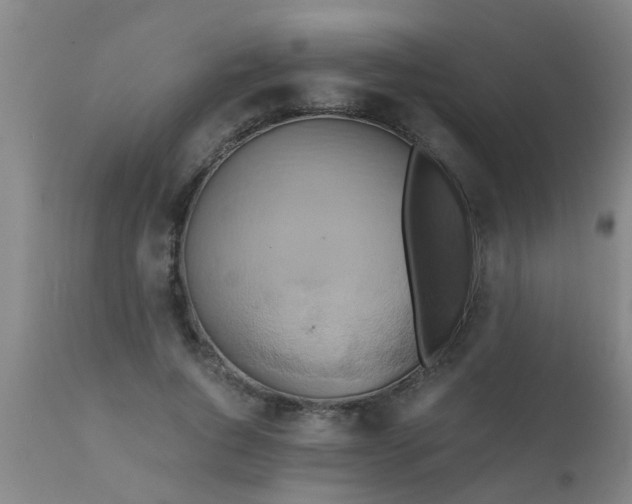 X0000110970736200907022244