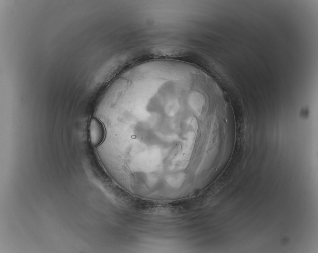 X0000110970738200907022244