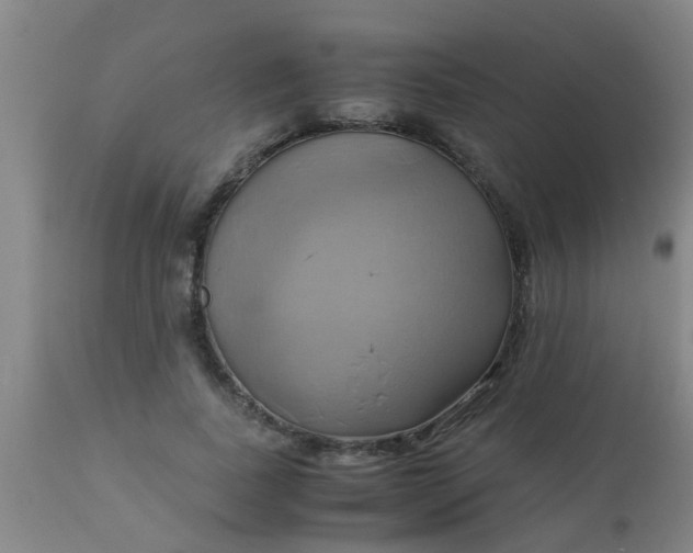 X0000110970739200907022244