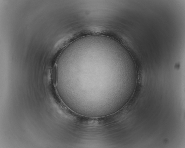 X0000110970740200907022244