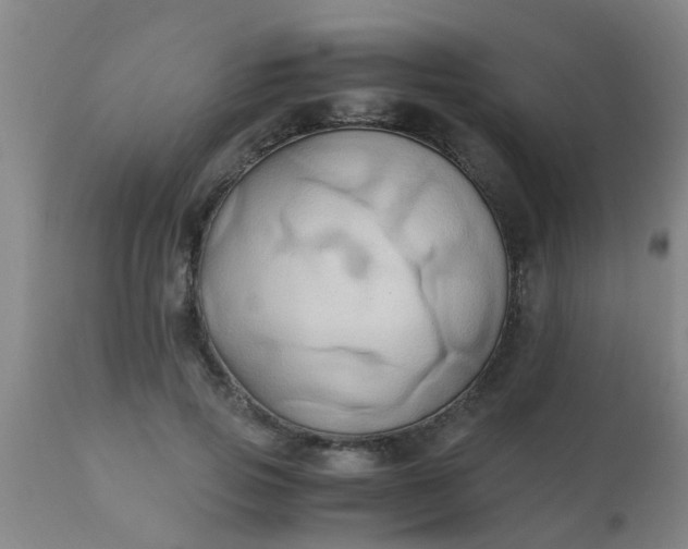 X0000110970741200907022244