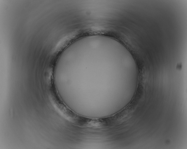 X0000110970742200907022244