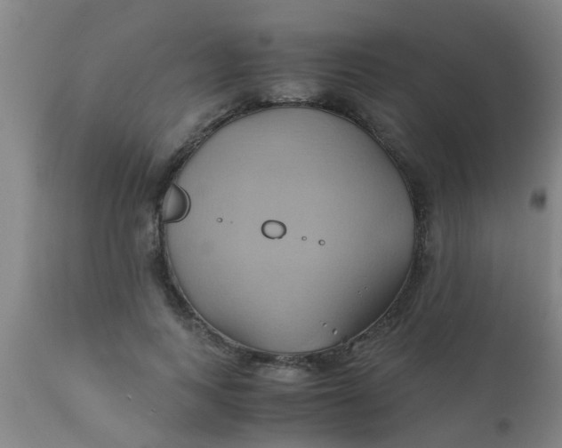 X0000110970743200907022244