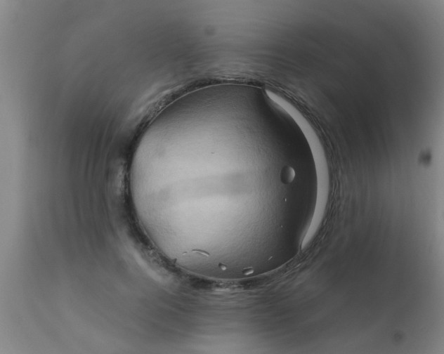 X0000110970744200907022244