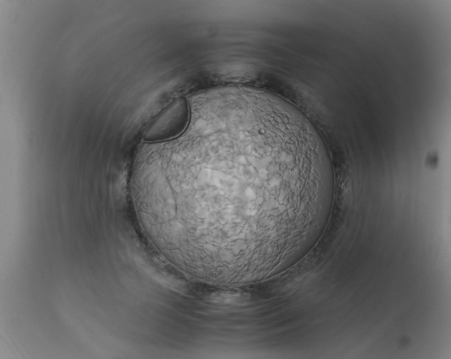 X0000110970745200907022244