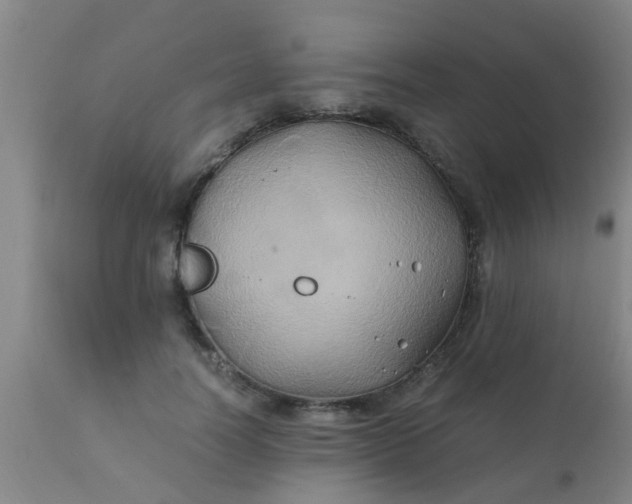 X0000110970746200907022244