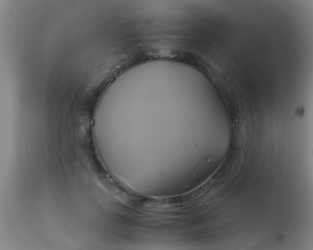 X0000110970747200907022244