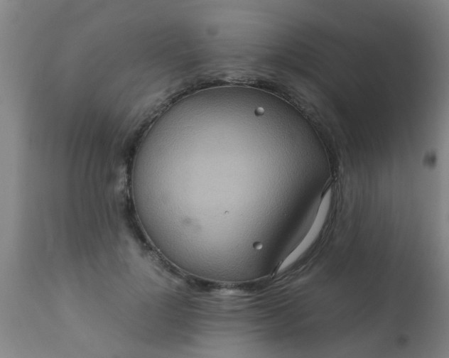 X0000110970748200907022244