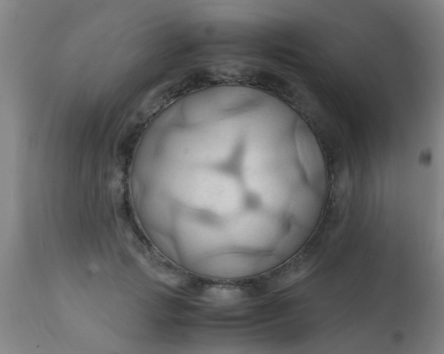 X0000110970749200907022244