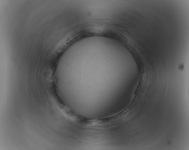 X0000110970750200907022244