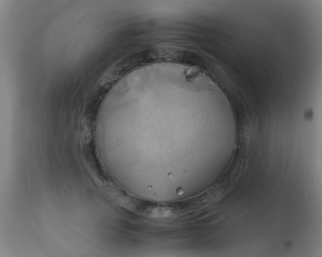 X0000110970751200907022244