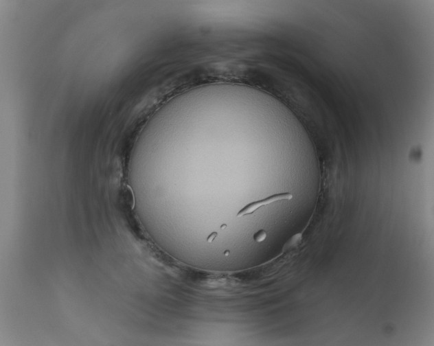 X0000110970752200907022244