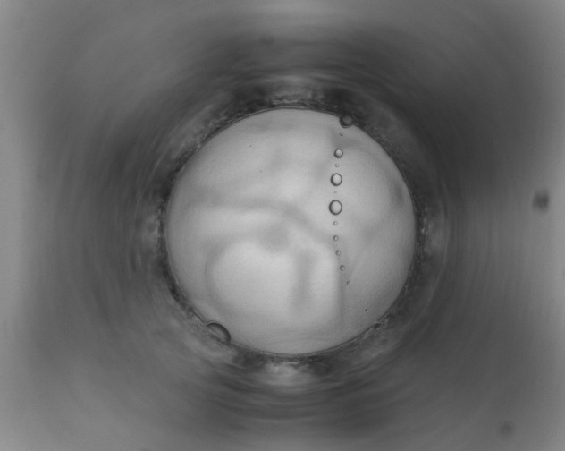 X0000110970753200907022244