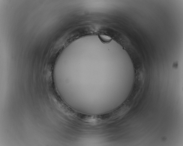 X0000110970754200907022244