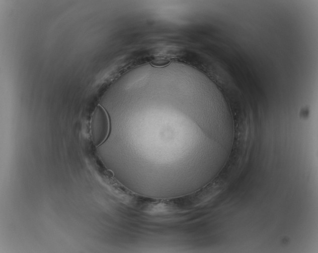 X0000110970755200907022244