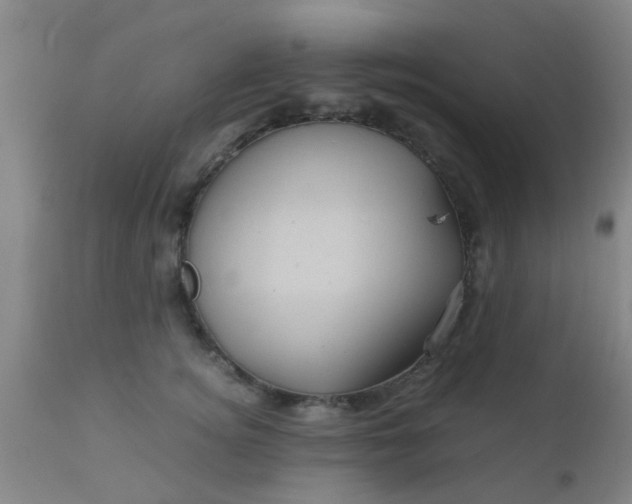 X0000110970756200907022244