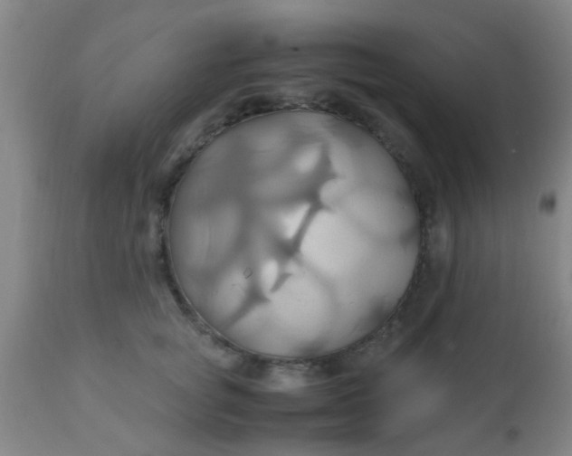 X0000110970757200907022244