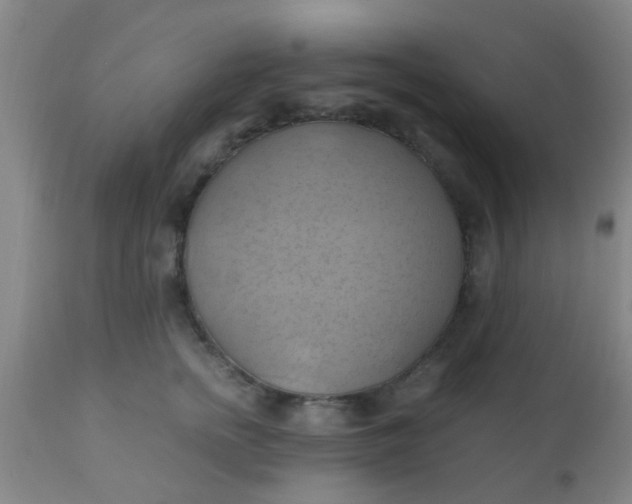 X0000110970758200907022244