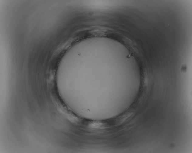 X0000110970759200907022244