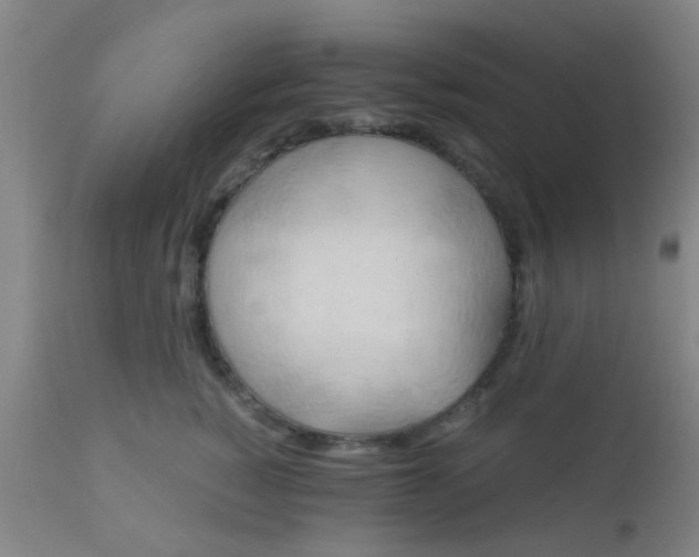 X0000110970760200907022244