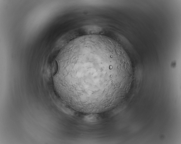 X0000110970761200907022244