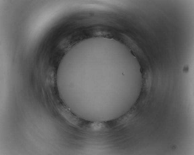 X0000110970762200907022244