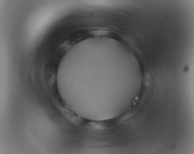 X0000110970763200907022244