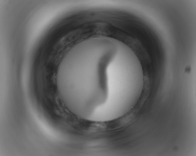 X0000110970765200907022244