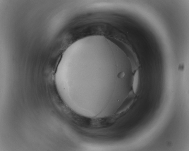 X0000110970766200907022244