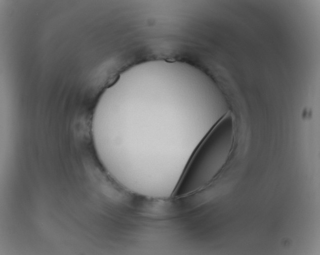 X0000110970768200907022244