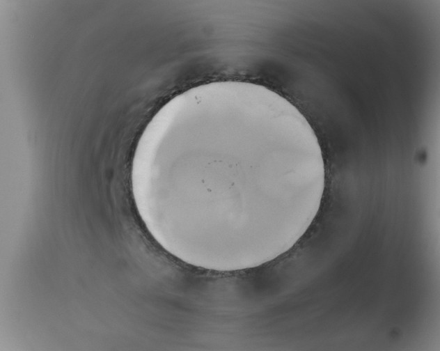 X0000110970769200907022244