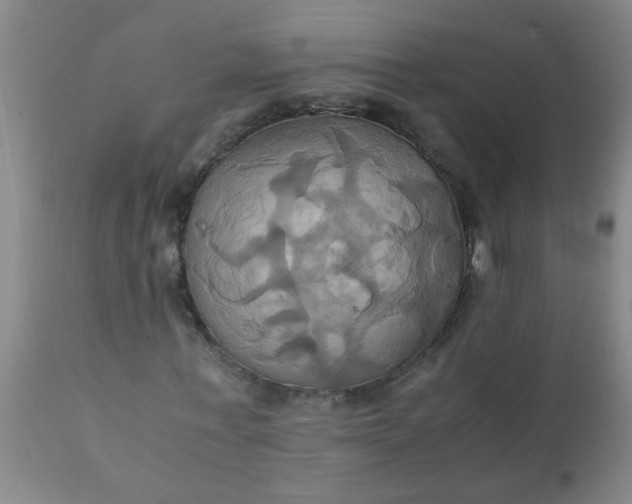 X0000110970771200907022244