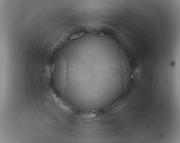 X0000110970772200907022244