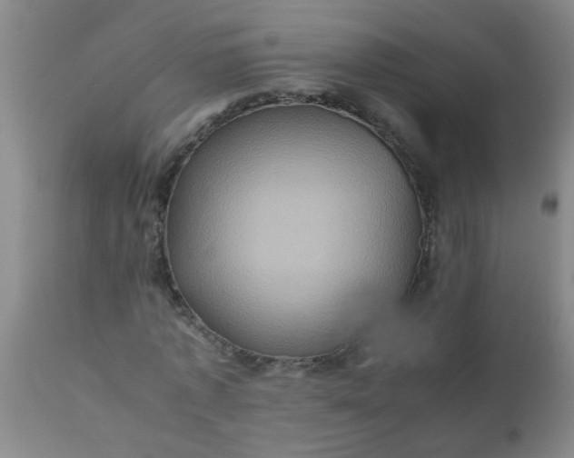 X0000110970773200907022244