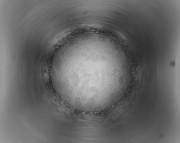 X0000110970774200907022244