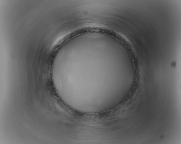 X0000110970775200907022244