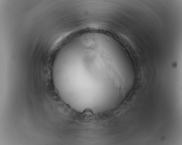 X0000110970776200907022244