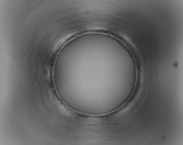 X0000110970777200907022244